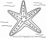 Coloring Starfish Star Sea Patrick Printable Drawing Fish Getcolorings Getdrawings Colour sketch template