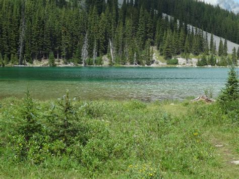 Elbow Lake Hike Albertawow Campgrounds And Hikes