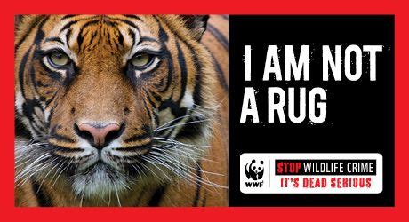 All Activists Pledge To Stop Wildlife Crime World Wildlife Fund