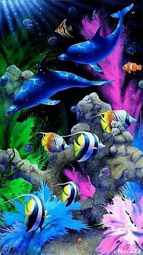 Vollversion Coral Reef Aquarium 3d Screensaver Pinterest