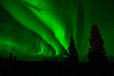Green Lights Of Aurora Borealis In The Night Sky Over Mountains Near A