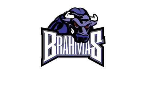 Brahman Cattle Logo Black Sheep Brahmans Logo Design Ranch House