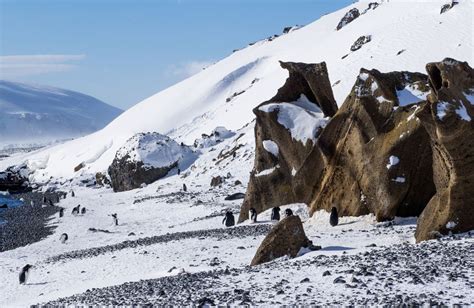 Brown Bluff Foto And Bild Landschaft Berge Antarctica Bilder Auf