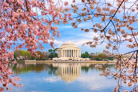 National Cherry Blossom Festival — American Classic Tours