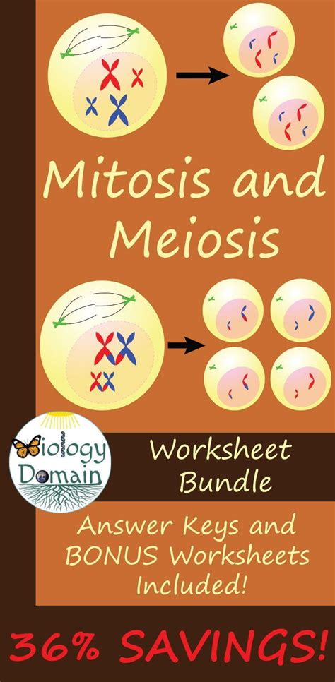 A Poster With An Image Of Mitots And Meiosis Worksheet Bundle