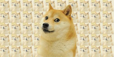 B The Doge Meme Is Back—and This Time Its Liquified