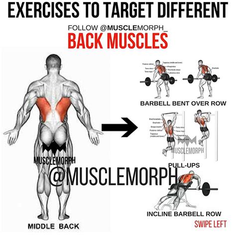 Swipe Left Exercises For Every Part Of Your Back 👆🏻likesave It If