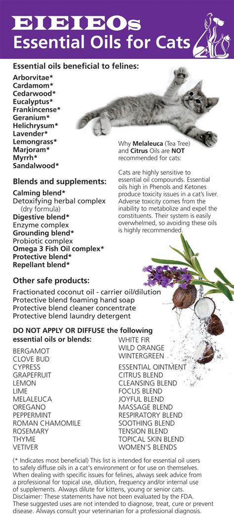 The main method of diluting is to use them in hydrosols via. How to Use Essential Oils for Acne | Essential oils cats ...