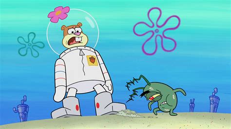 Sandy Plankton Relationship Encyclopedia Spongebobia Fandom