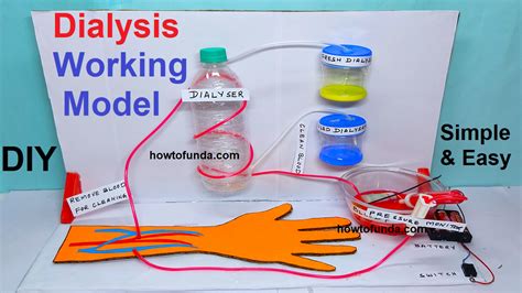 Dialysis Working Model For Science Project Exhibition Free Science