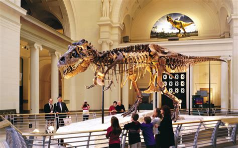 6 Best Museums In Boston 2024 Pmcaonline
