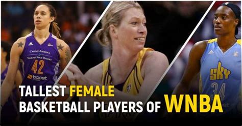 Top Tallest Female Basketball Players In The History Of Wnba