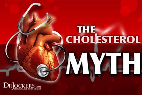 The Great Cholesterol Myth Cholesterol Cholesterol Medications