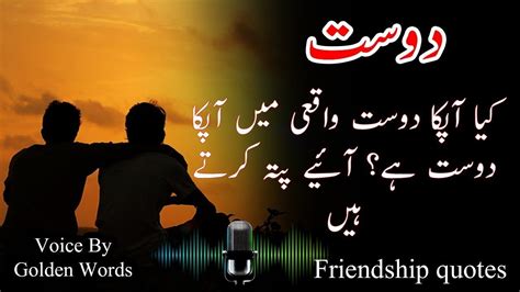 Quotes On Friendship Urdu
