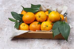 Mar 11, 2021 · arti dari mimpi makan jeruk nipis sama keluarga. 9 Makanan Khas yang Disajikan saat Imlek dan Maknanya