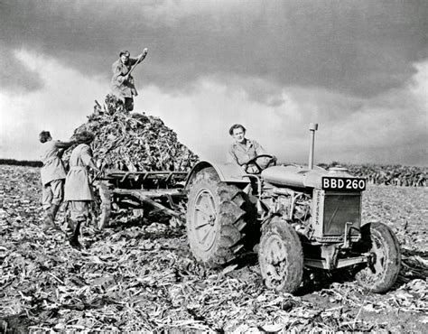 The Women Who Took Care Of Farming During Wwii Interesting Photos Show