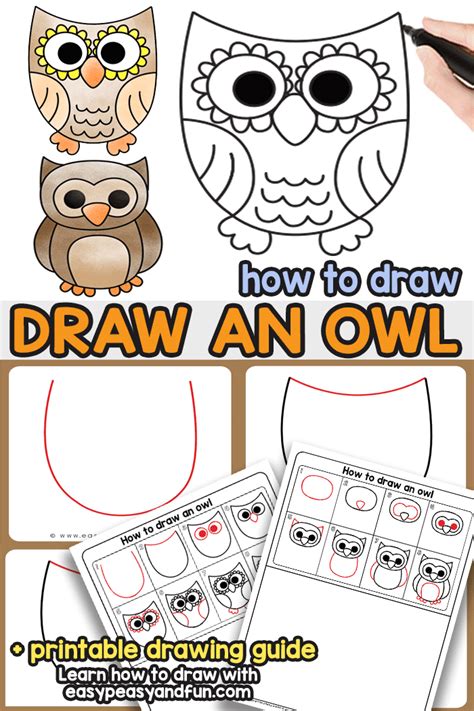 How To Draw An Owl Step By Step Instructions Owls Drawing Directed