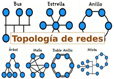 Topologías Topologia Enseñanza Biología Computacion