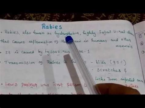 Rabies Virus Morphology & Pathogenesis (1) - YouTube