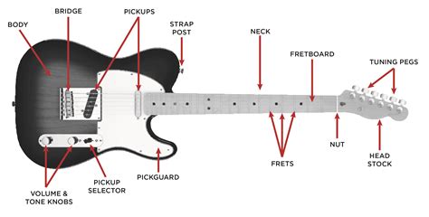 The parts of a guitar. Electric Guitar Buyer's Guide