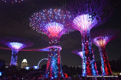 Spectacular Evening Sound And Lights Show At Gardens By The Bay