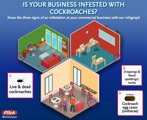 Try this servsafe food handler practice test to see if you can pass. Is your business infested with cockroaches? - Flick Anticimex