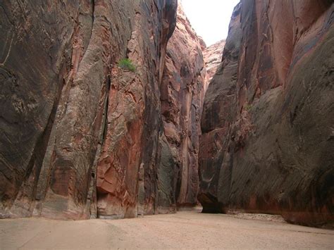 Buckskin gulch overview, tours, guide list, itinerary, gear list, photo gallery, climbers, climbing costs and trip reports. Buckskin Gulch Utah: come visitare lo slot canyon più ...
