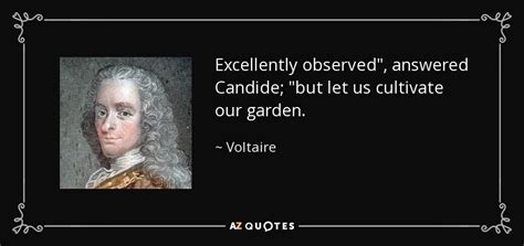Voltaire Quote Excellently Observed Answered Candide But Let Us