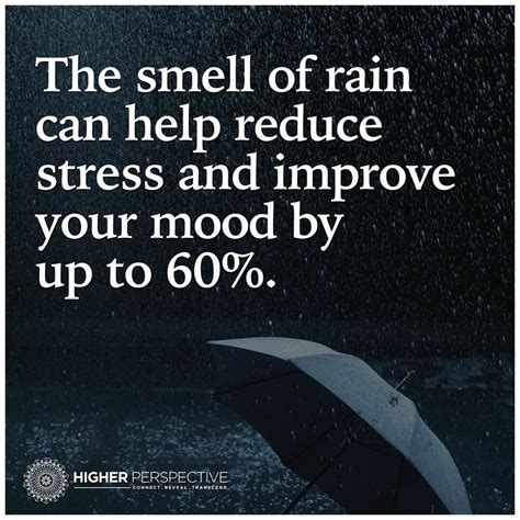 Maybe you would like to learn more about one of these? Pin by Joi Gruenberg on Beautiful Rain | Smell of rain, I love rain, Words