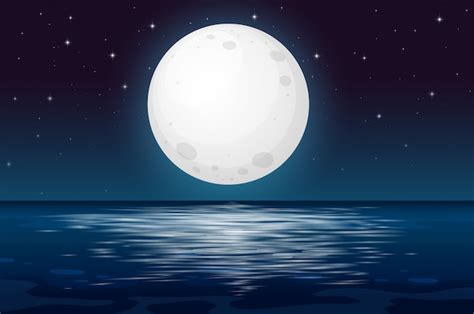 Una Noche De Luna Llena En El Océano Vector Premium