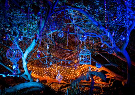 Are you in search of best lighting for xmas decor? Enchanted Forest | Lights colour the woods at Syon Park ...