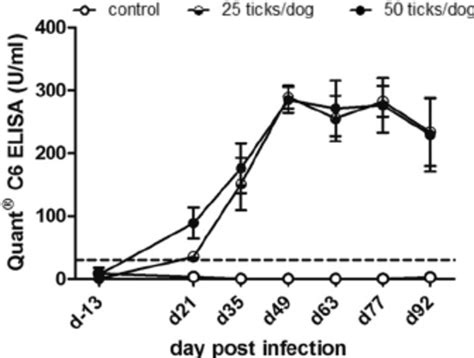 Antibody Titers In Sera From Experimentally Infected Dogs Identified By