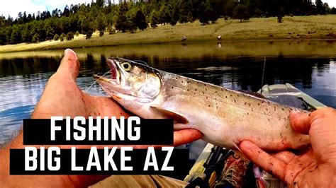 BIG LAKE AZ Fishing // with bonus catch and cook - YouTube