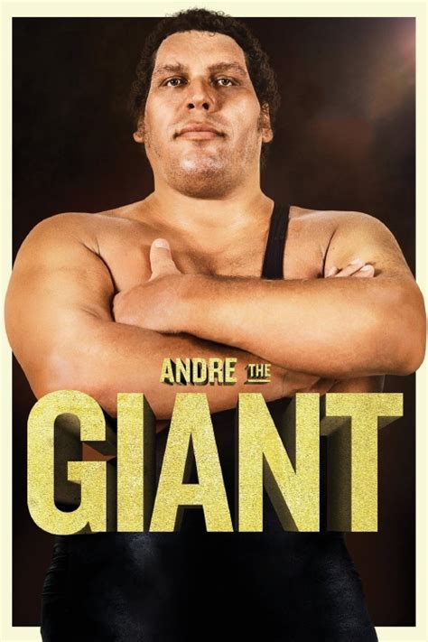 I would pay a fortune for the opportunity to go back in time 30 years to watch such a master practice his craft, in the ring and at the bar. Watch Andre the Giant (2018) Free Online