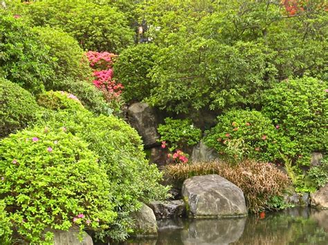 Pond And Azalea At Nezu Shrine Tokio Japanese Garden Beautiful