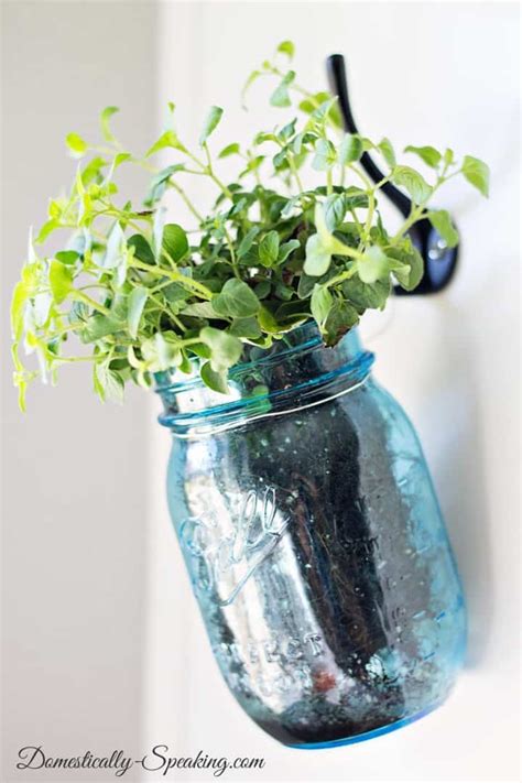 Plant your seeds, label your jars, and watch your herbs grow! Hanging Herb Mason Jars - Domestically Speaking