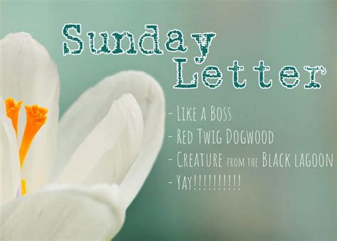 Sunday Letter 021019 Grace Grits And Gardening