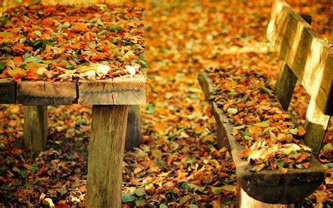 Autumn Nature Park Bench Leaves Hd Desktop Wallpaper Widescreen