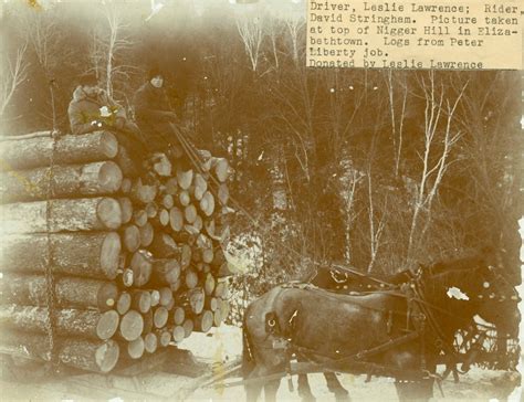 Dairy farmers of america inc. Load of logs headed to Wilmington from Elizabethtown