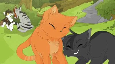 Search, discover and share your favorite warrior cats gifs. Image result for warrior cat map gifs | Warrior cats comics, Warrior cats funny, Warrior cat memes