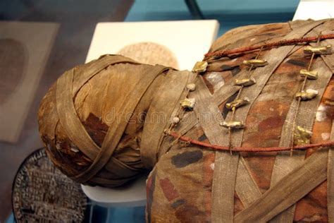 head of egyption mummy stock image image of egyption 30468833