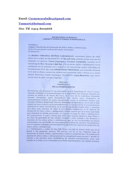 Accion Mero Declarativa De Concubinato Maria Muñoz Pdf Pdf