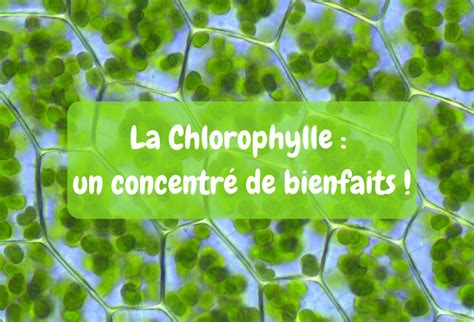 La Chlorophylle Aph Heilpraktiker