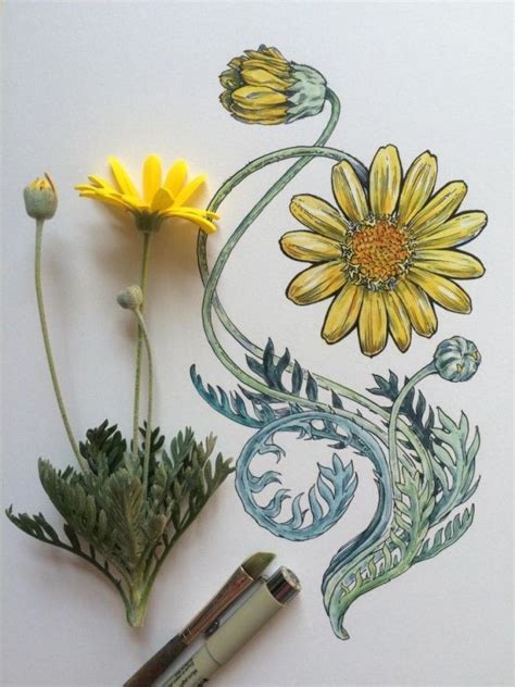 Ted Artist Draws The Most Spectacular Intricate Flowers