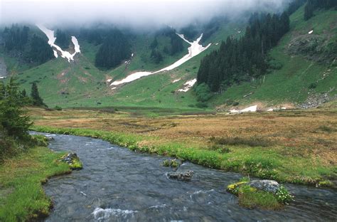 River In Meadow