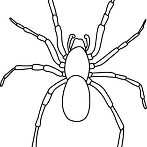 Spiders Clipart Black And White 10 Free Cliparts Download Images On