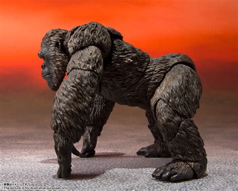 Kong 2021, gojira toho movie news. Godzilla vs. Kong Bandai MonsterArts and Funko POP ...