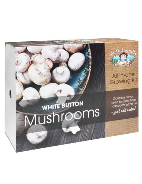 White Button Mushroom Kits Mr Fothergills Mushroom Kits