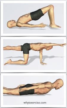 5 exercises to strengthen your lower back muscles. Back strengthening exercises: Illustrated with lifelike ...