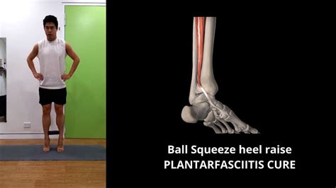 Ball Squeeze Heel Raise Plantarfasciitis Cure Youtube